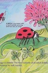 Ladybugs