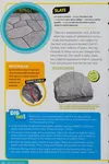 Rocks & minerals