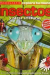 Insectos