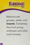 Baboons