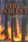 Fire in the forest