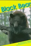 Black bears