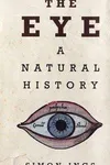 The eye
