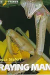 Praying mantis