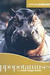 Hippopotamuses