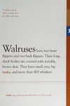 Walruses
