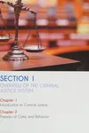 Criminal Justice