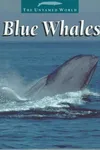 Blue whales
