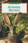 Animal senses