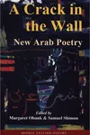A crack in the wall