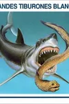 Great white sharks