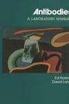 Antibodies