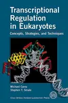 Transcriptional regulation in eukaryotes