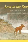 Lost in the Storm