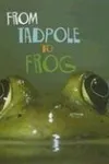 From tadpole to frog