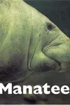 Manatees