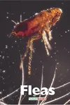 Fleas
