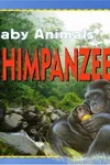 Chimpanzees