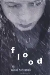Flood