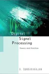 Digital signal processing