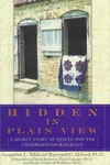 Hidden in plain view
