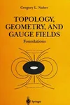 Topology, Geometry, and Gauge Fields