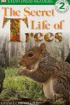 The secret life of trees