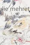 Julie Mehretu