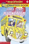 Amazing magnetism