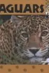 Jaguars