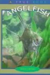 Angelfish