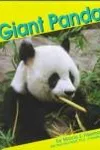 Giant pandas