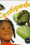Centipede