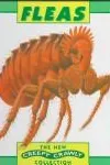 Fleas