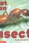 What is an insect?