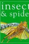 Insects & spiders