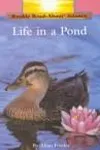 Life in a Pond
