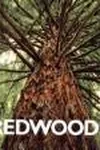 Redwoods