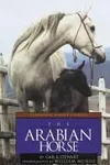 The Arabian horse