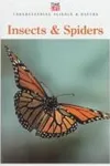 Insects & spiders