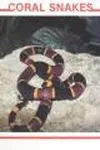 Coral snakes