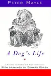 A dog's life