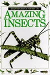 Amazing insects