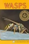 Wasps