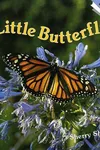 The little butterfly