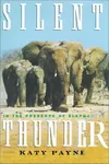 Silent thunder