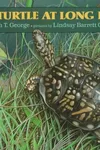 Box Turtle at Long Pond