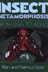 Insect metamorphosis
