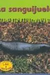 Leeches