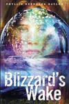 Blizzard's wake